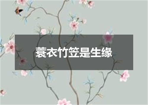 蓑衣竹笠是生缘