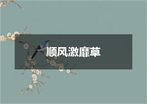 顺风激靡草