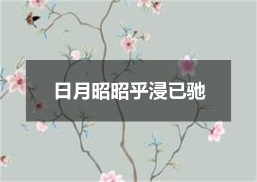 日月昭昭乎浸已驰
