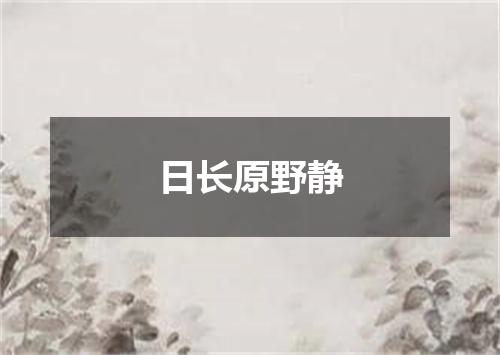 日长原野静