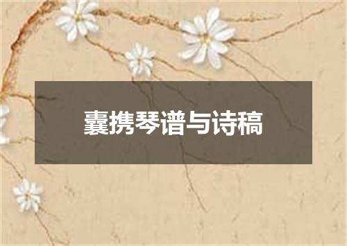 囊携琴谱与诗稿