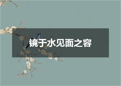 镜于水见面之容