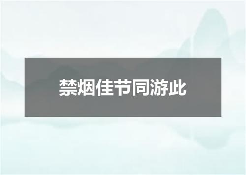 禁烟佳节同游此