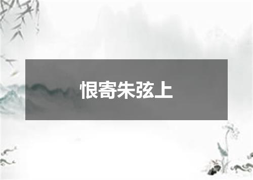 恨寄朱弦上