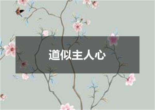 道似主人心