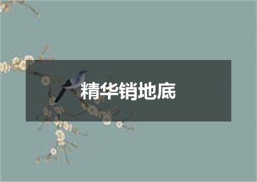 精华销地底