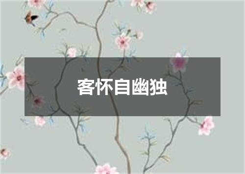 客怀自幽独
