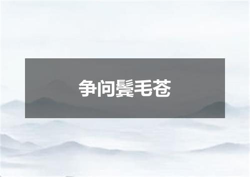 争问鬓毛苍