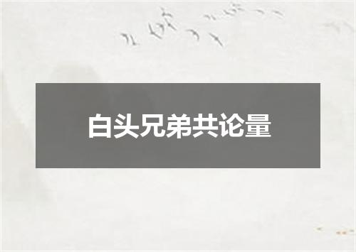 白头兄弟共论量