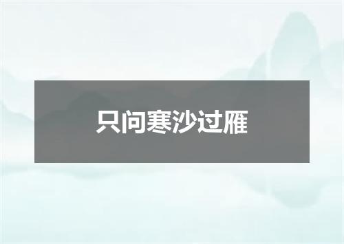 只问寒沙过雁