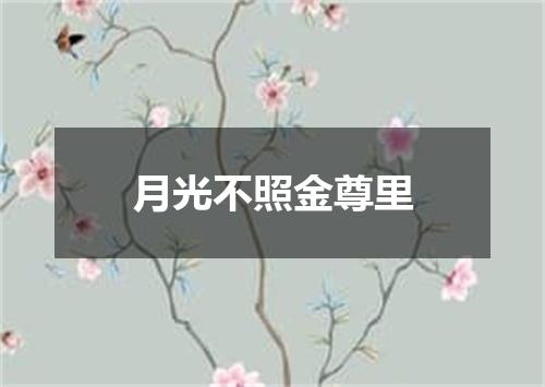 月光不照金尊里