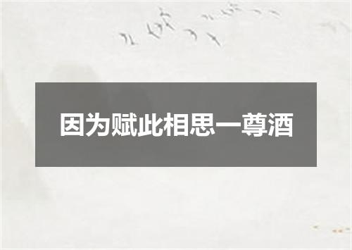 因为赋此相思一尊酒
