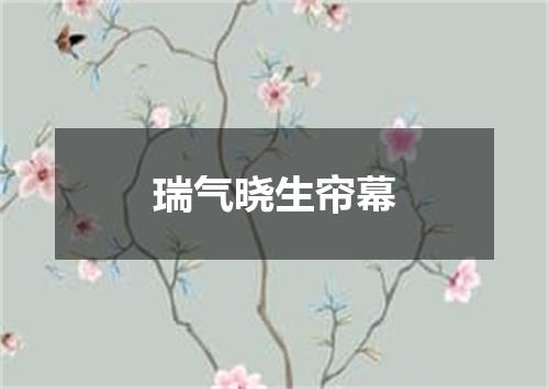 瑞气晓生帘幕