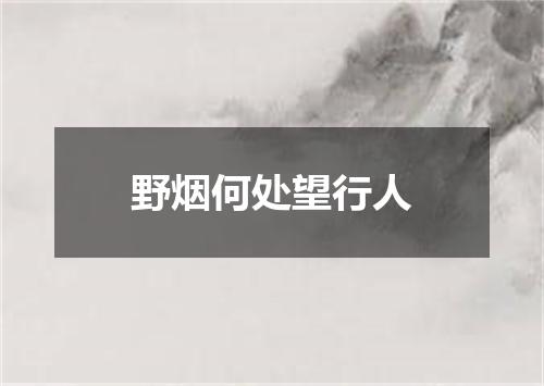 野烟何处望行人