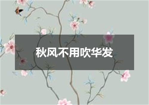 秋风不用吹华发