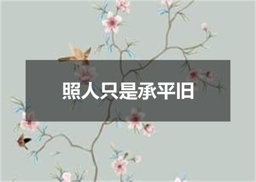 照人只是承平旧