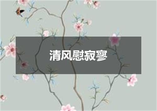 清风慰寂寥