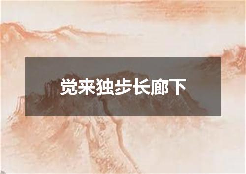觉来独步长廊下