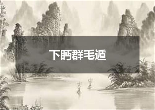 下眄群毛遁