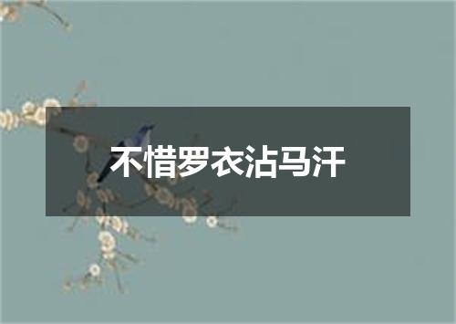 不惜罗衣沾马汗