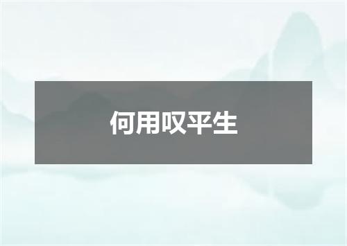 何用叹平生