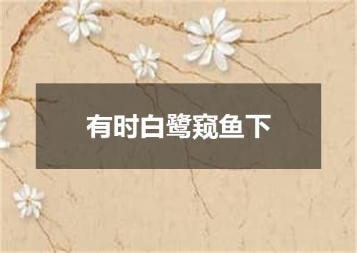有时白鹭窥鱼下