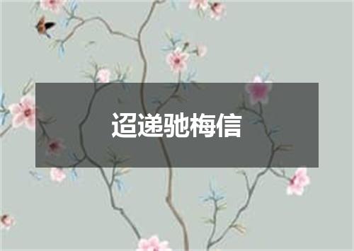 迢递驰梅信
