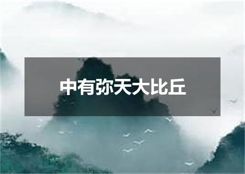 中有弥天大比丘
