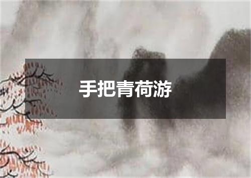 手把青荷游