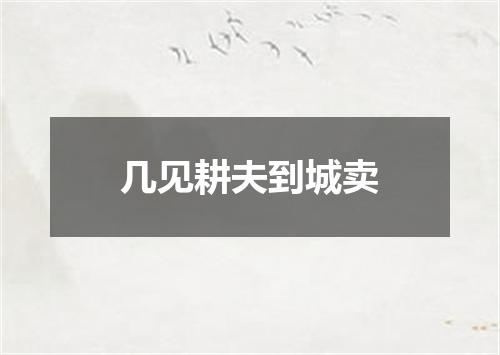 几见耕夫到城卖
