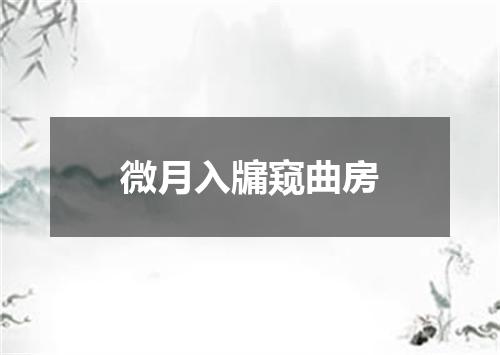 微月入牖窥曲房