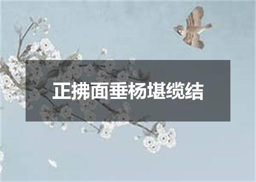 正拂面垂杨堪缆结
