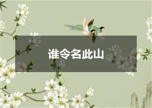 谁令名此山