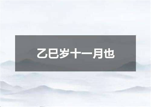 乙巳岁十一月也