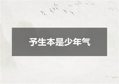 予生本是少年气