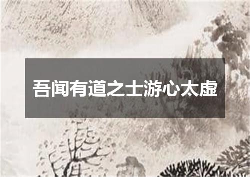 吾闻有道之士游心太虚