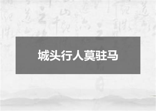 城头行人莫驻马