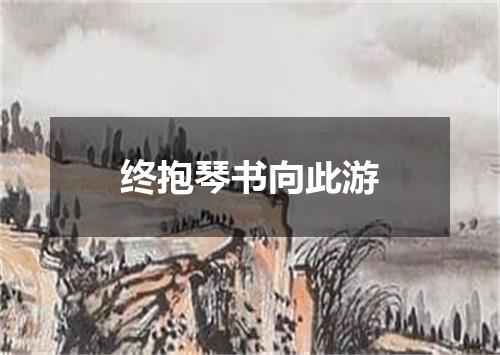 终抱琴书向此游