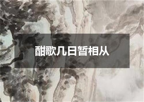 酣歌几日暂相从