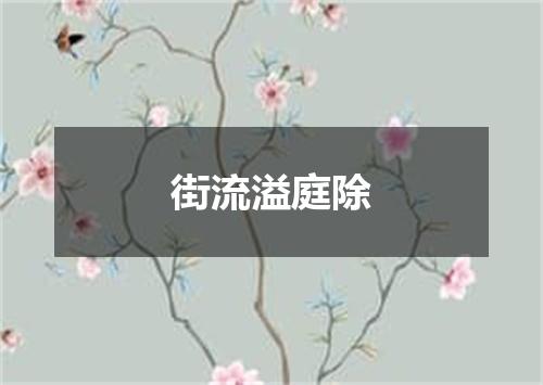 街流溢庭除