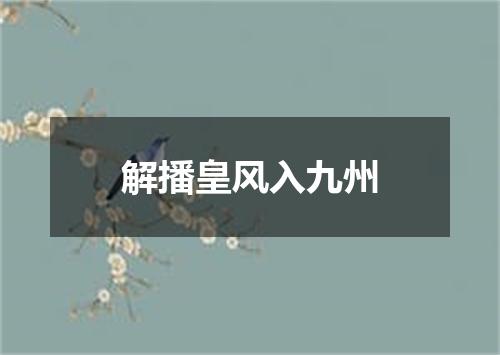 解播皇风入九州