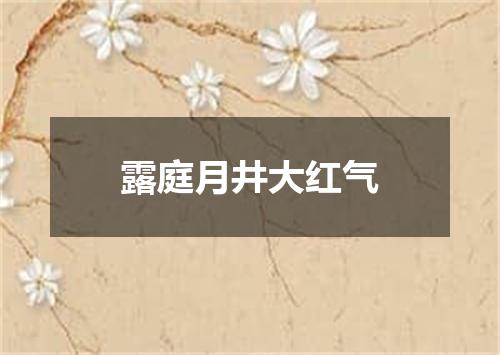 露庭月井大红气