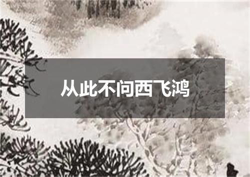 从此不问西飞鸿