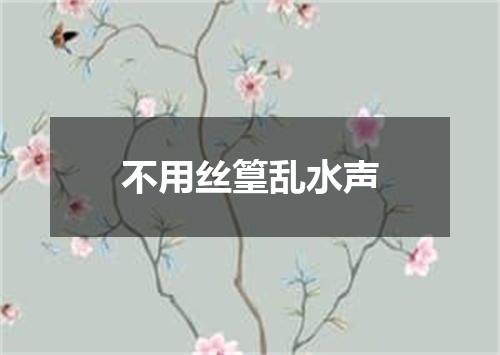 不用丝篁乱水声