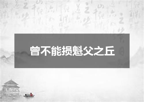 曾不能损魁父之丘