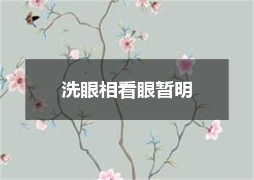 洗眼相看眼暂明