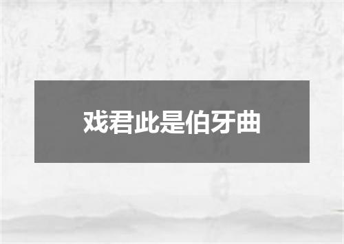 戏君此是伯牙曲