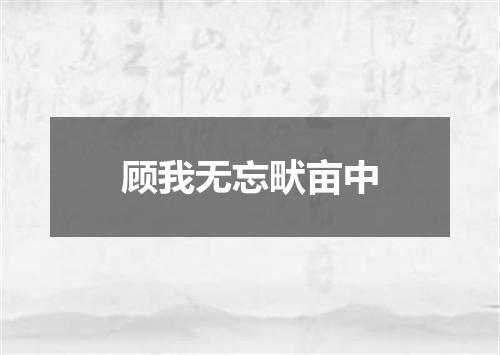 顾我无忘畎亩中