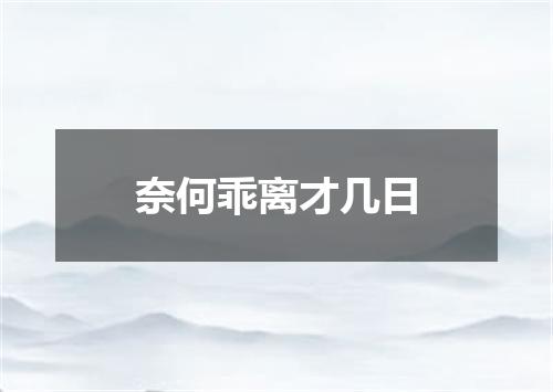 奈何乖离才几日