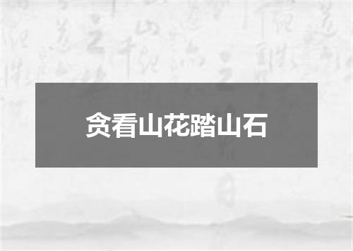 贪看山花踏山石